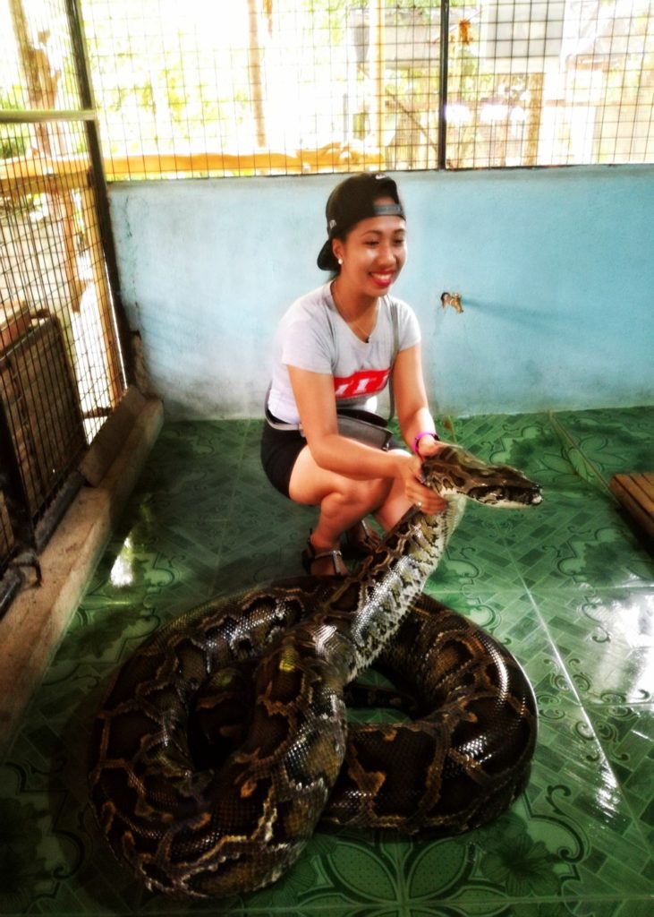 Snake Bohol Philippines